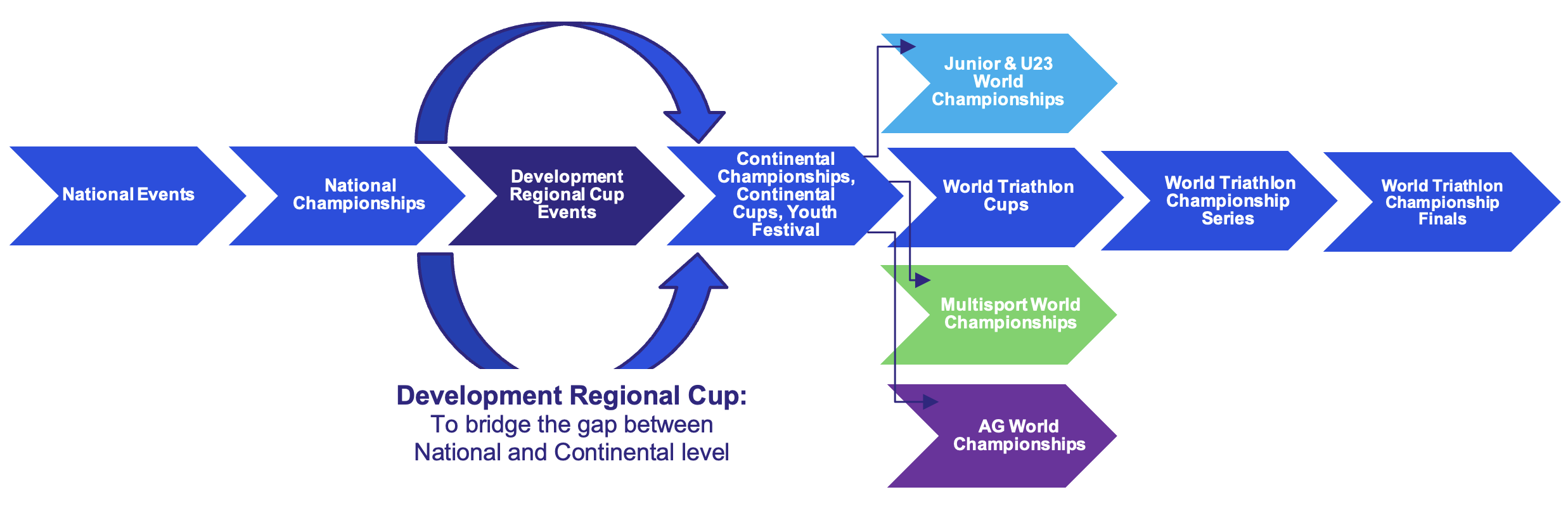 Development Regional Cup Diagram