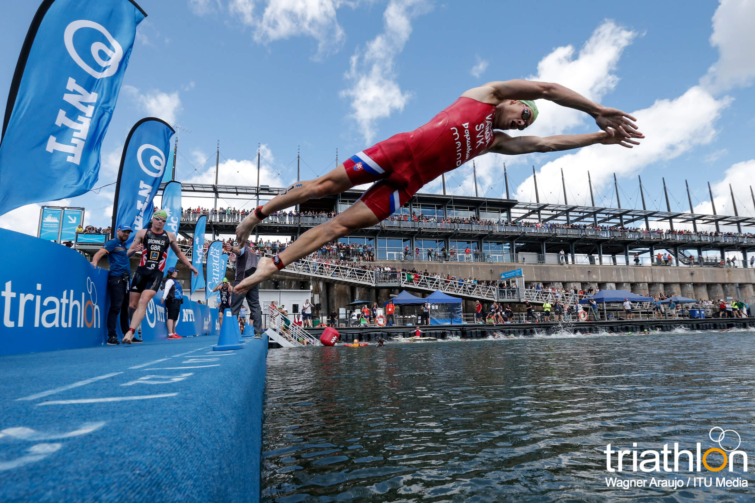 Richard Varga Diving in montreal